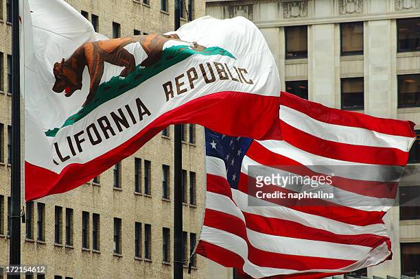 flags of california - california bear stock pictures, royalty-free photos & images