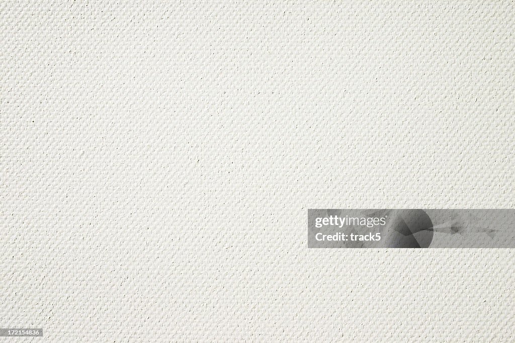 Primed artist's canvas, full frame background texture