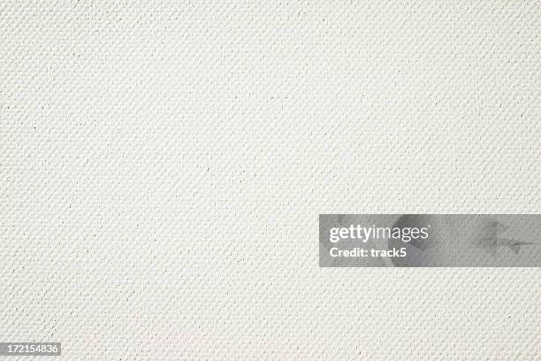 primed artist's canvas, full frame background texture - high key stock pictures, royalty-free photos & images