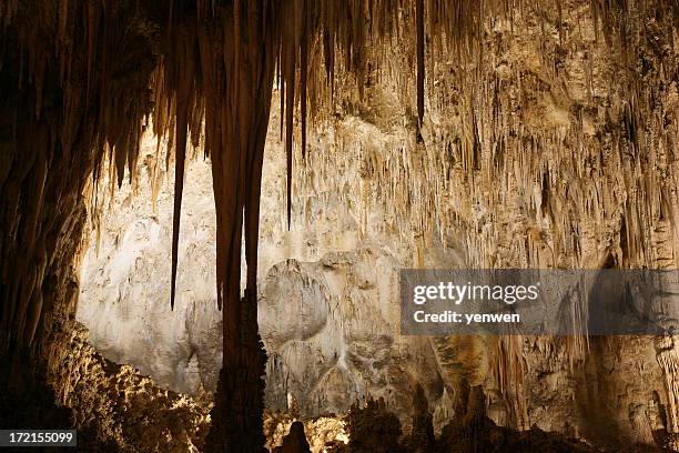 sala grande na caverna parque nacional de carlsbad - estalactite imagens e fotografias de stock
