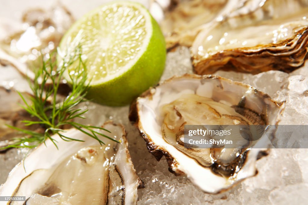 Oysters on the half shell over ice