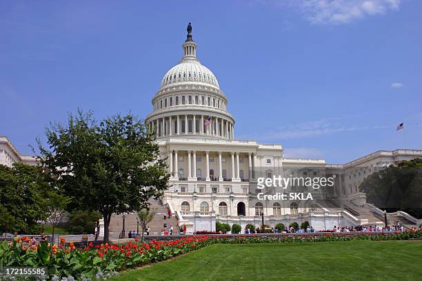 looking across the lawn at the us capitol in washington dc - washington dc summer stock pictures, royalty-free photos & images