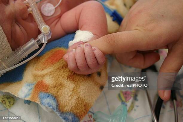 infant in hospital - sisters feeding stockfoto's en -beelden