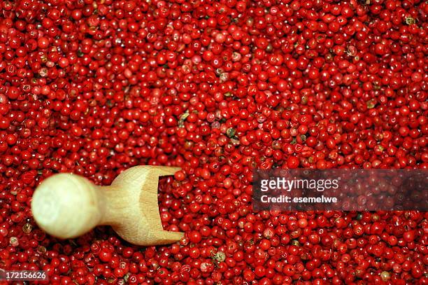 brazilian pepper berries - brazilian pepper tree stock pictures, royalty-free photos & images