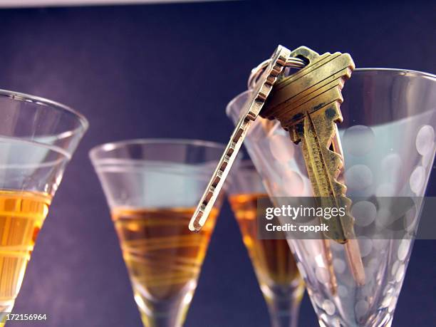 52,933 Key Party Stock Photos, High-Res Pictures, and Images