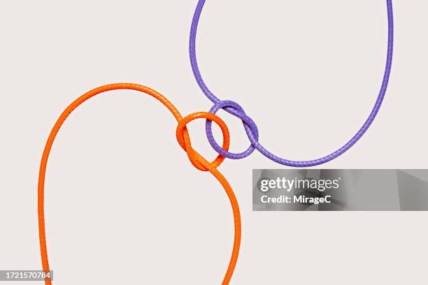 two ropes knotted together, true lover's knot - things that go together stock pictures, royalty-free photos & images