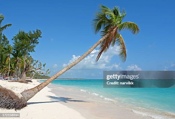 weiße beach in dominikanische republik - dominikanischer abstammung stock-fotos und bilder