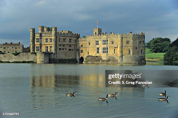 leeds castle - moat stockfoto's en -beelden