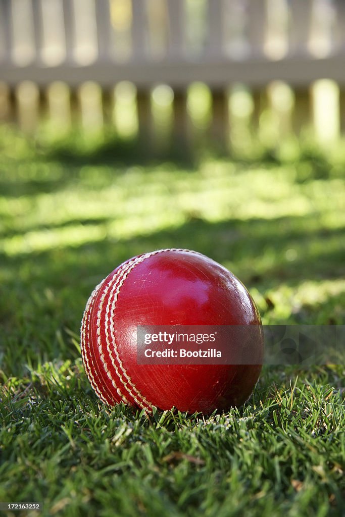 Cricket ball