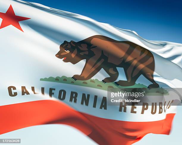 flag of california - california flag stockfoto's en -beelden