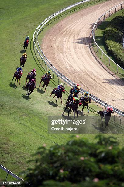 horse racing from above 3 - horse racing gambling stock pictures, royalty-free photos & images