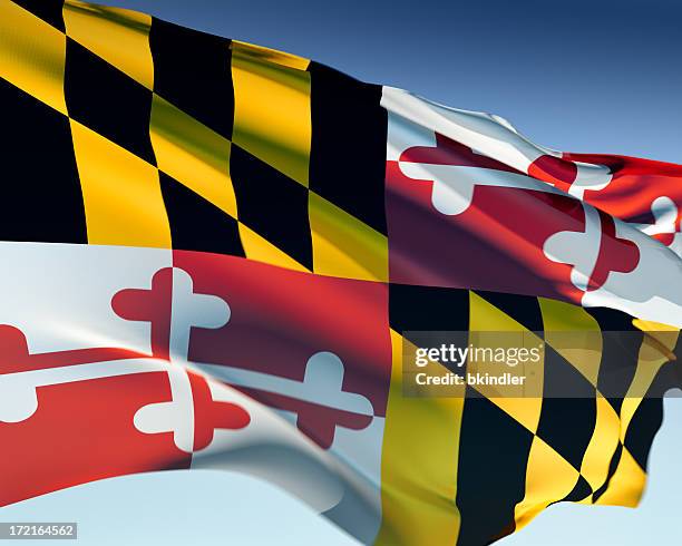 flag of maryland - maryland flag stock pictures, royalty-free photos & images