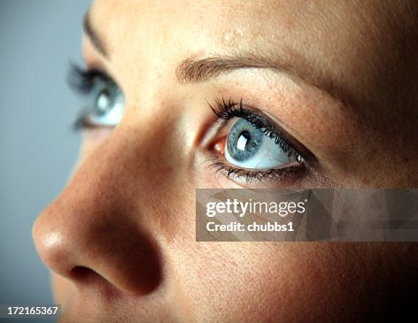 Os olhos Os olhos