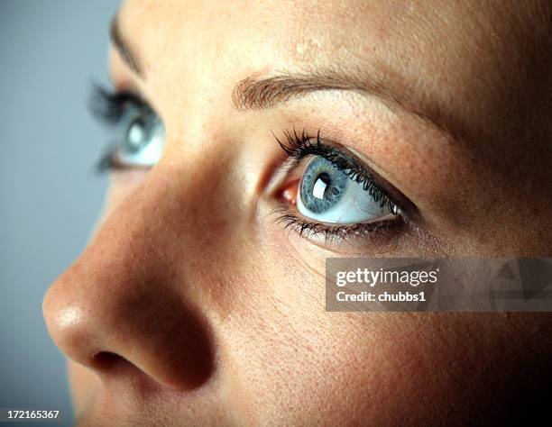 a close up of a young woman's blue eyes - nose 個照片及圖片檔