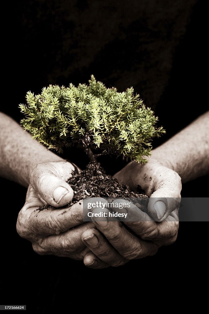 Growth and Development