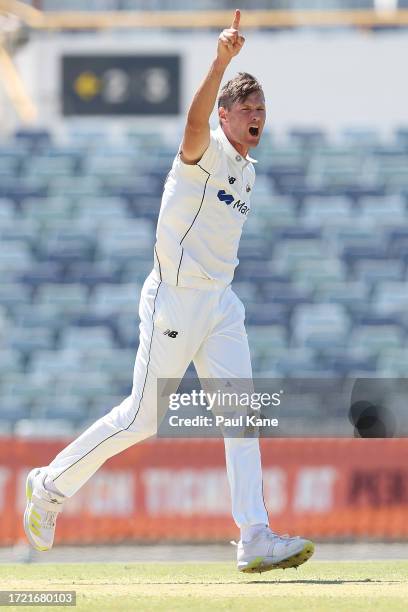 Cameron Gannon of Western Australia celebrates the wicket of Jon Merlo of Victoria during day 4 of the Sheffield Shield match between Western...