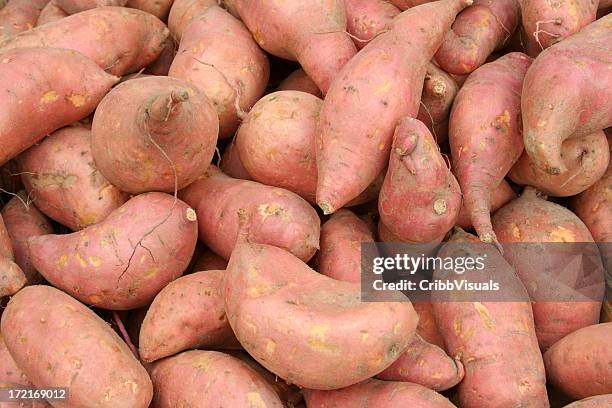 fresca batatas batatas - boniato fotografías e imágenes de stock