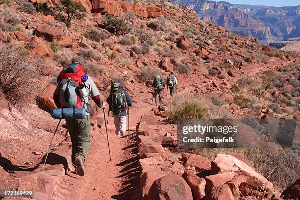 wandern - grand canyon stock-fotos und bilder