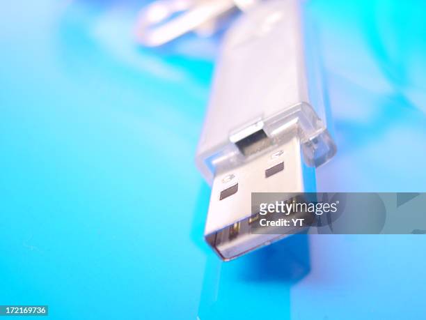 usb keychain - ram stick stock pictures, royalty-free photos & images