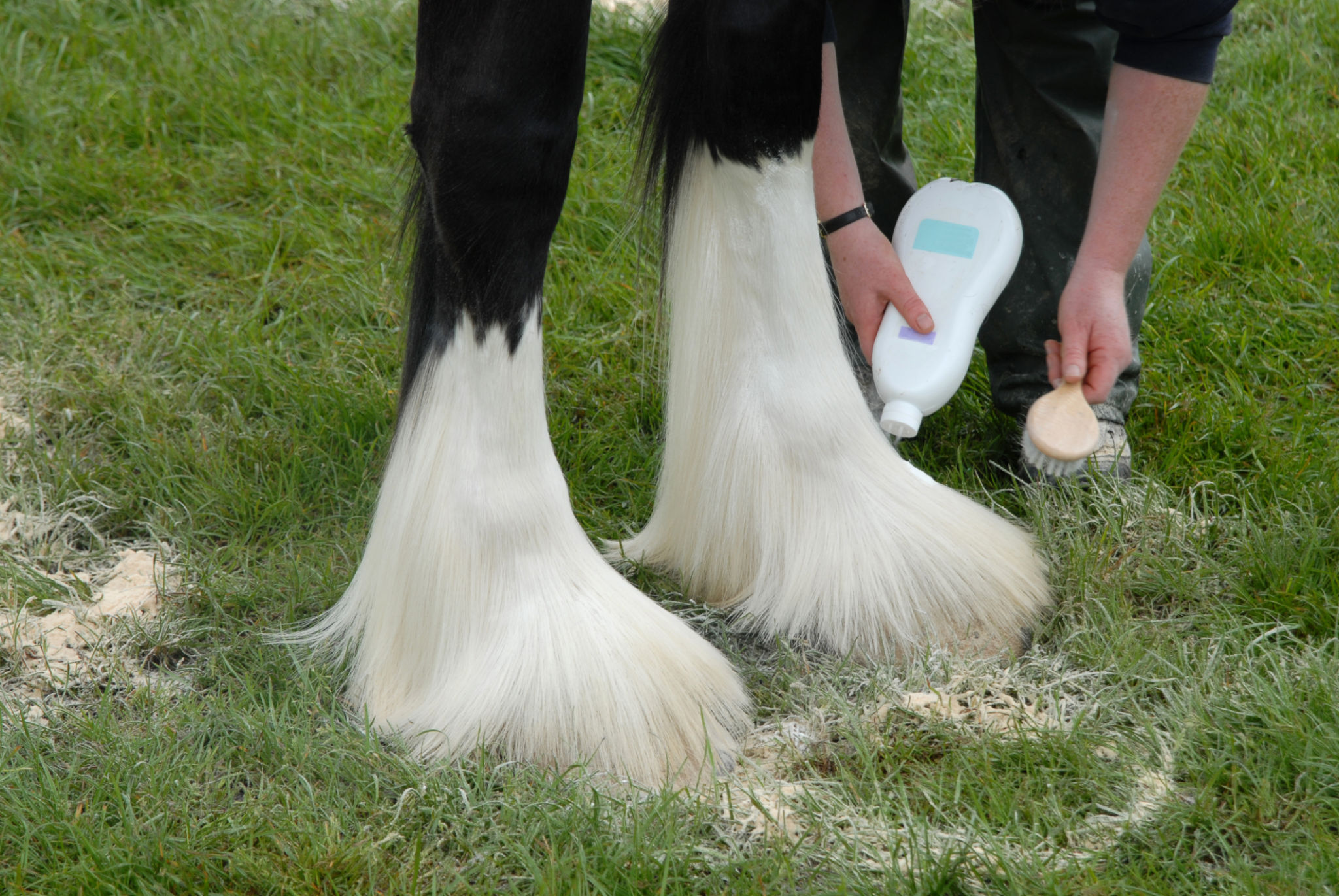 hoof conditioner