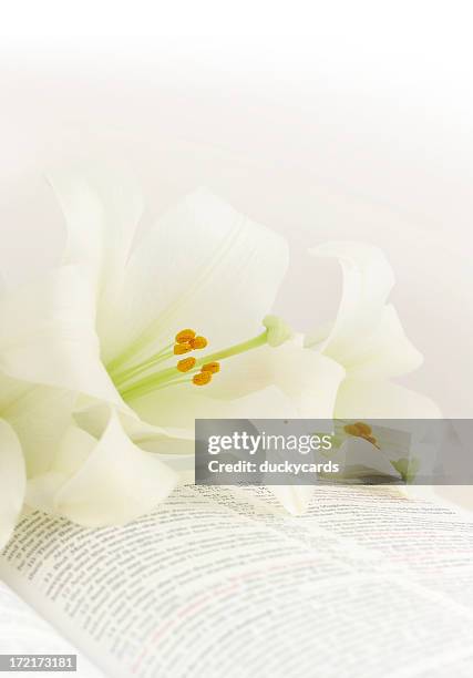 easter lilies on a kjv bible - easter lily stock pictures, royalty-free photos & images