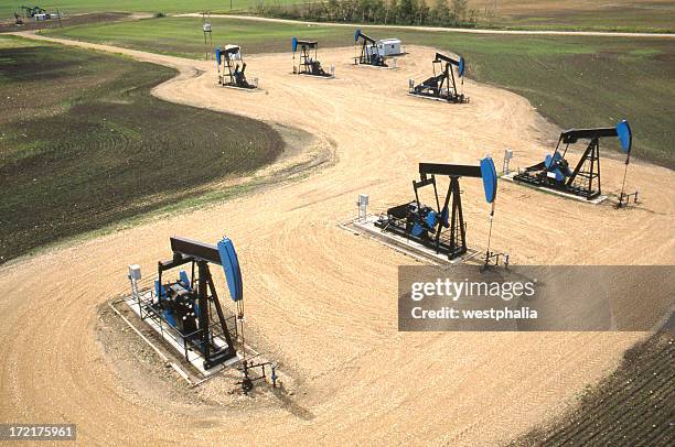 battery of pumpjacks - pump jack stock pictures, royalty-free photos & images