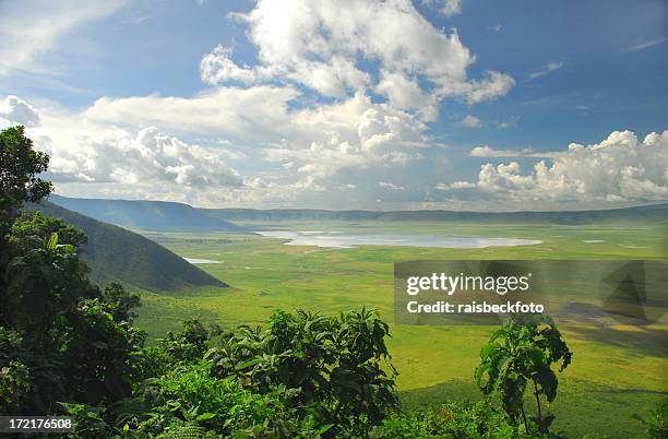 the ngorongoro crater conservation area in tanzania - volcanic crater stockfoto's en -beelden