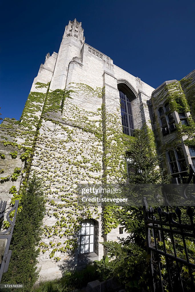 Ivy Covered University library