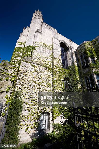 ivy covered university library - evanston illinois stock pictures, royalty-free photos & images