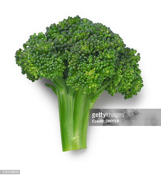 brokkoli - broccoli white background stock-fotos und bilder
