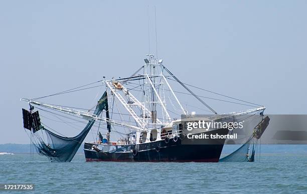 garnelen-fischerboot - commercial fishing net stock-fotos und bilder