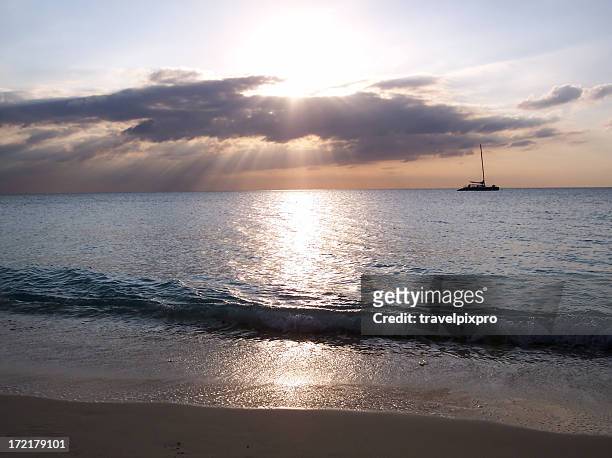 catamarano al tramonto su cayman seven mile beach - grand cayman islands foto e immagini stock