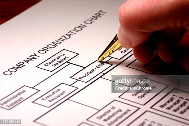 organization chart - organisation chart stock pictures, royalty-free photos & images