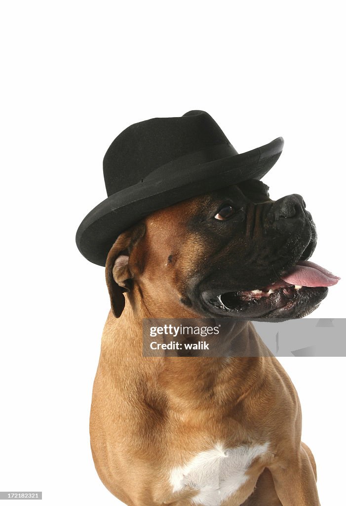 Pose do Formal