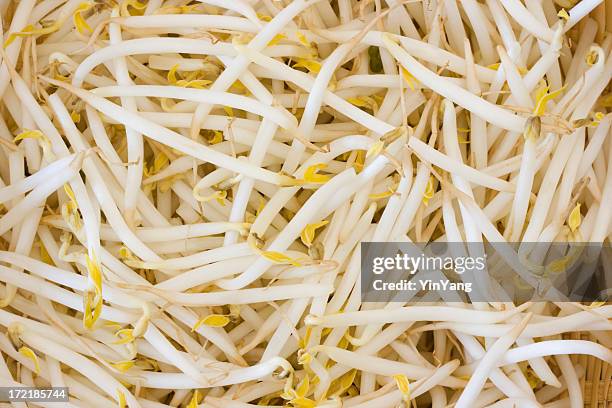 chinese bean sprouts texture - bean sprouts stock pictures, royalty-free photos & images