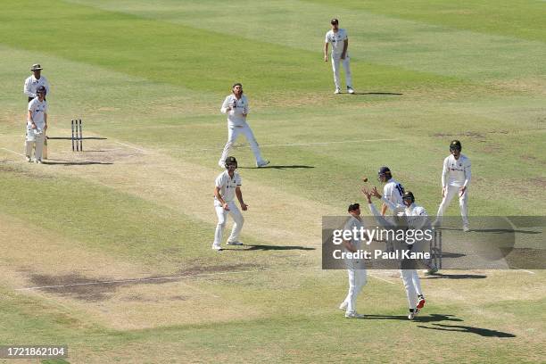 Ashton Turner of Western Australia catches the ball off the pads of Mitch Perry of Victoria during day 4 of the Sheffield Shield match between...