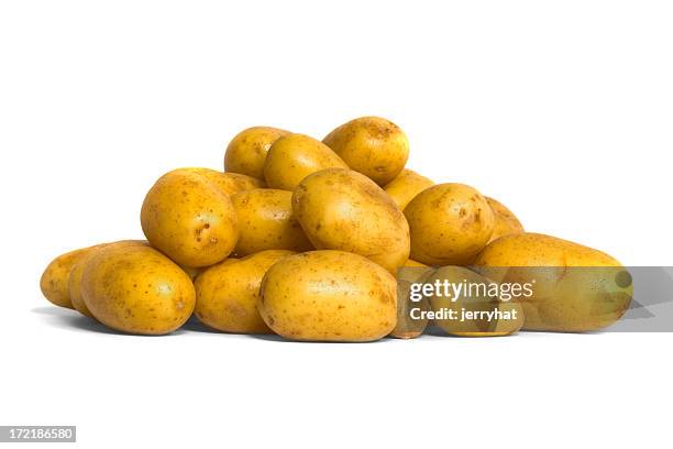 pile of new potatoes - charlotte - raw new potato stock pictures, royalty-free photos & images