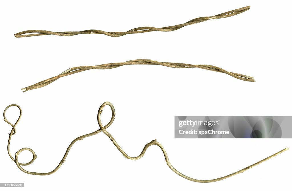 Dried Twisted Wisteria Vines