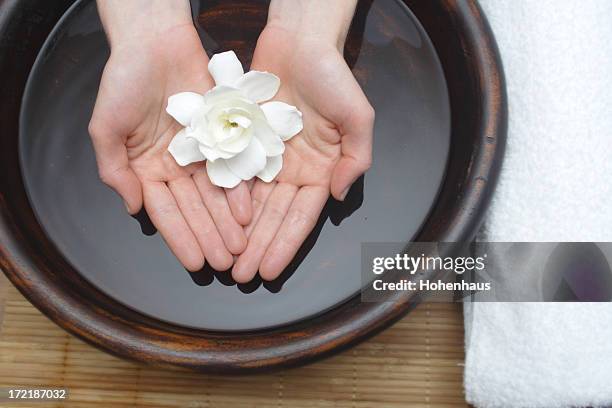 soin thérapeutique avec de l'eau et de fleurs - bassine photos et images de collection