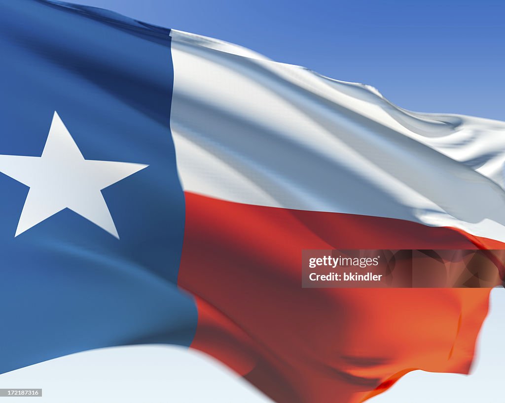 Bandeira do Texas