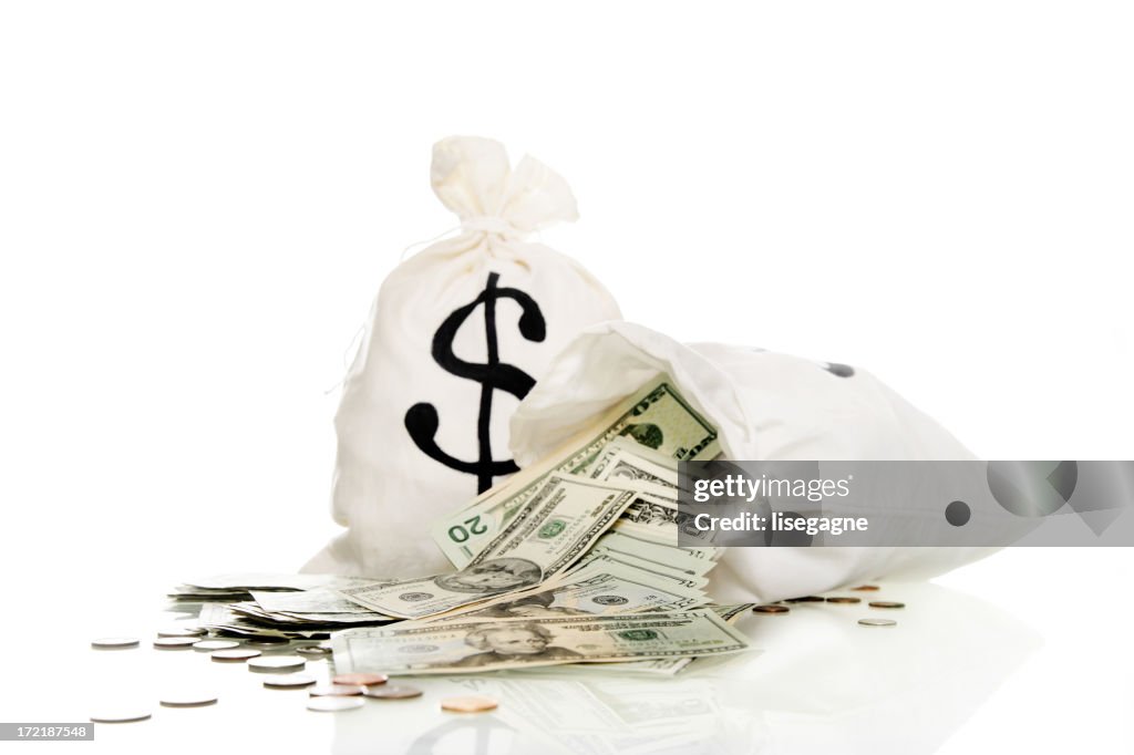 Money bags with dollars and coins
