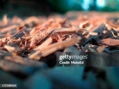 Macro - Woodchips Macro - Woodchips