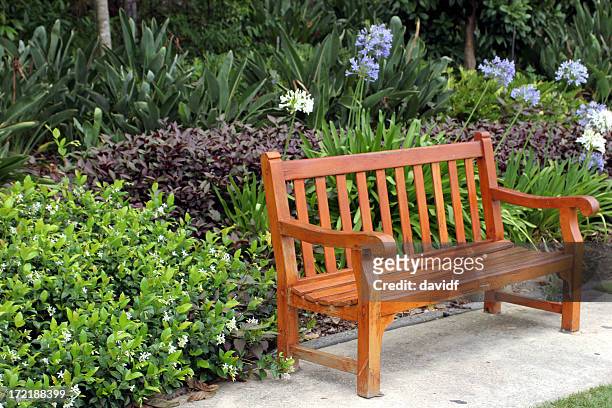 alone bench - agapanthus stock pictures, royalty-free photos & images