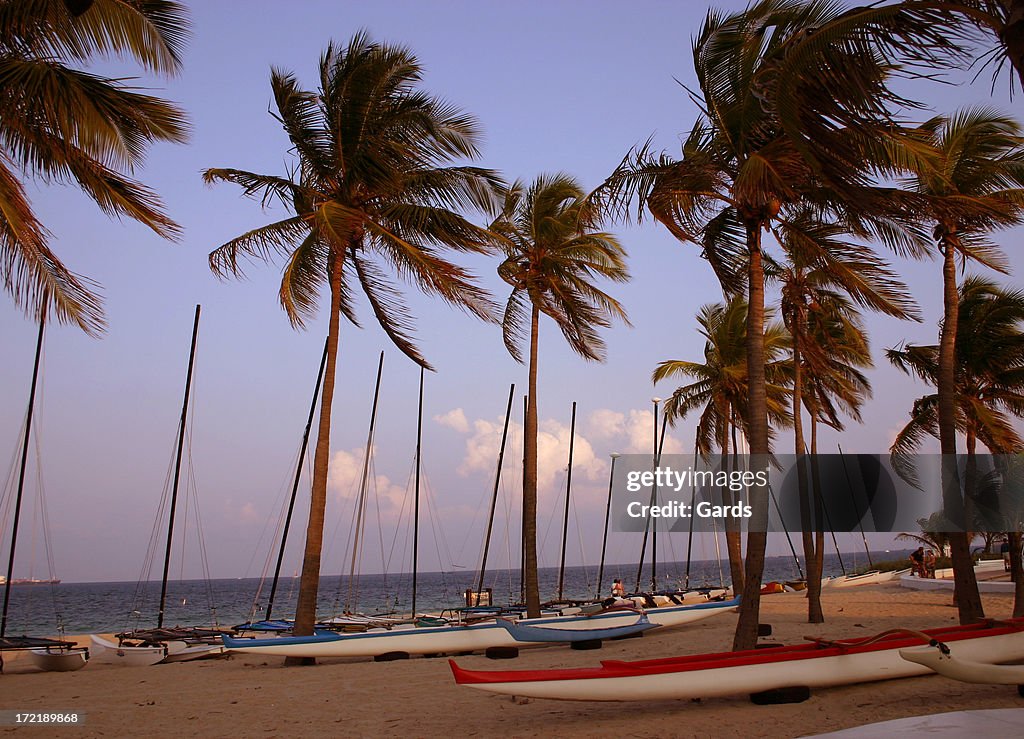 Boats & Palms