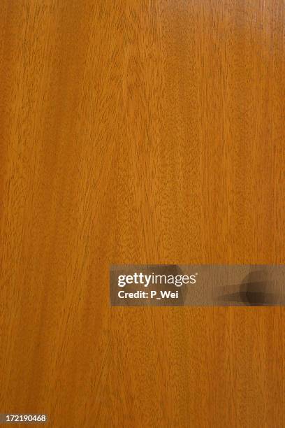 fondo: arce color miel - end grain wood fotografías e imágenes de stock