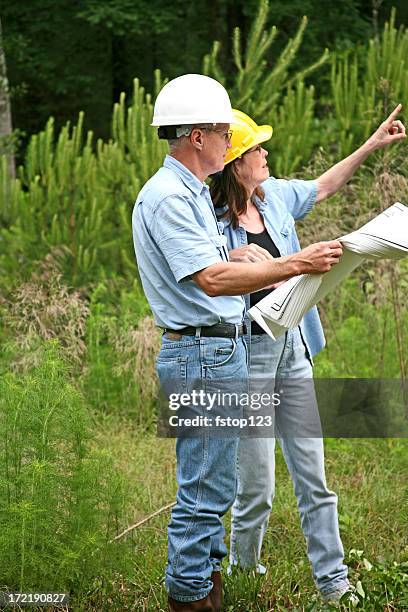 Questioning Engineer Surveying Forest Photos and Premium High Res Pictures - Getty Images