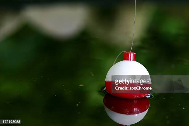 fishing bobber - fishing hook underwater stock pictures, royalty-free photos & images