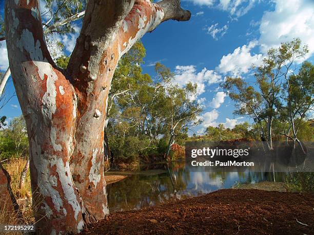 paradise in the outback - outback stock pictures, royalty-free photos & images