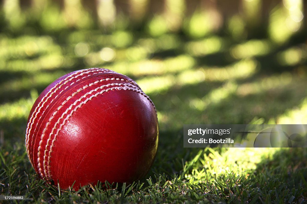 Cricket ball