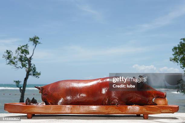 roasted pig by the sea - lechon stockfoto's en -beelden